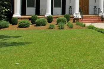 Front lawn in Wrens, GA mowed by Nichols Lawn Care.